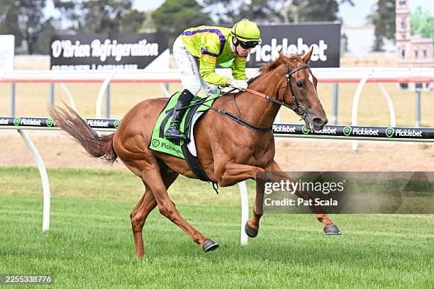 Spritz Blitz at Werribee