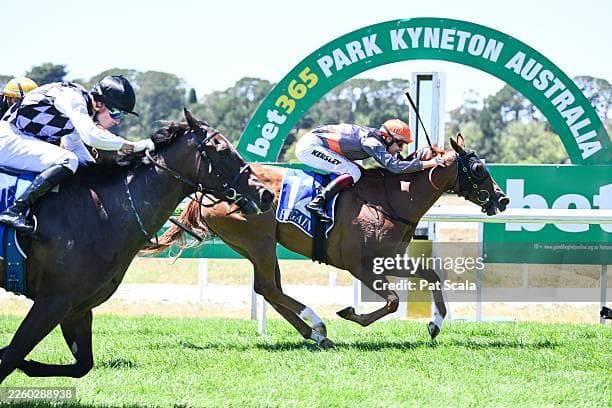 Maiden Win for Succaforyou