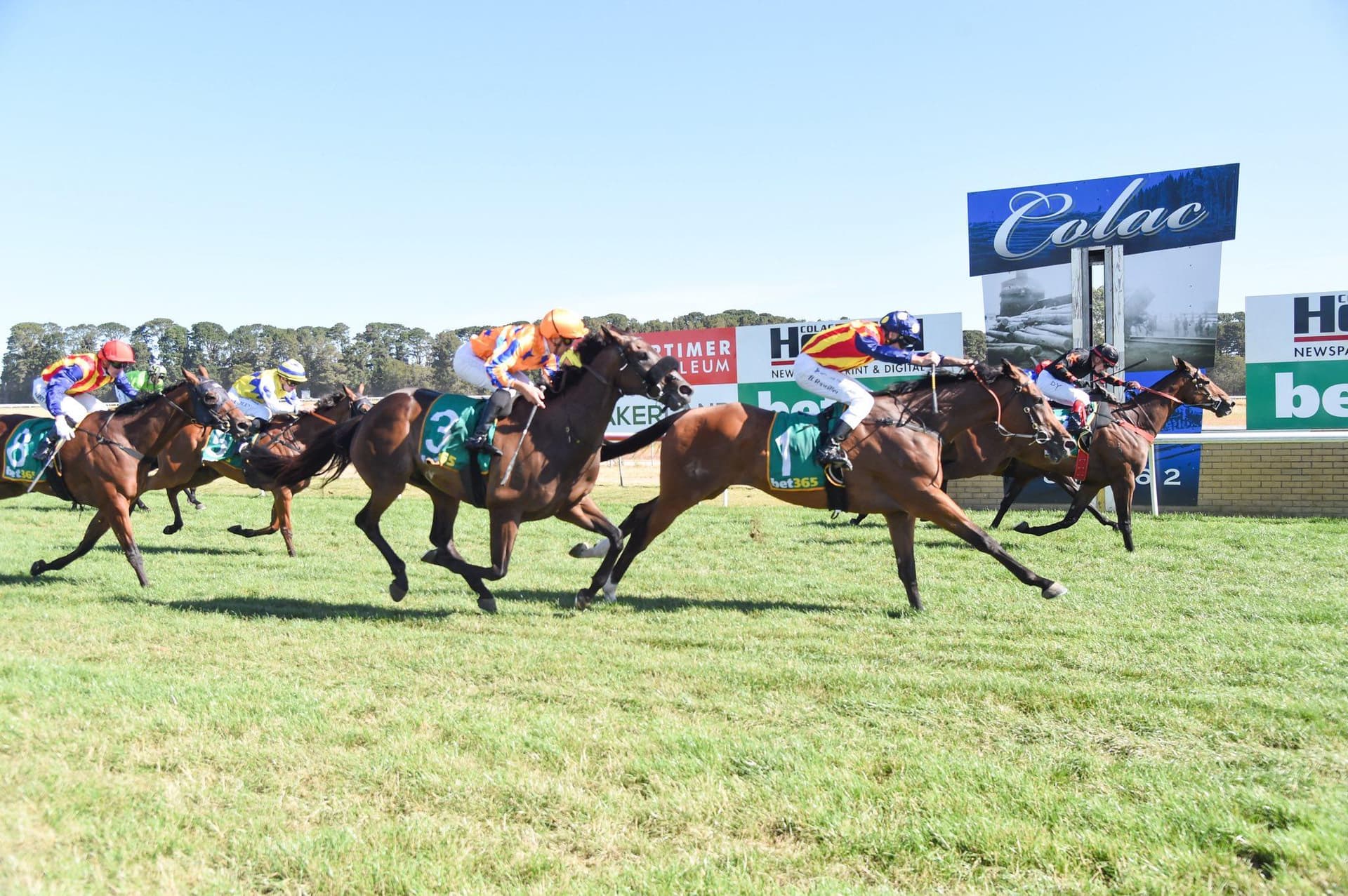 The Captain Claims the Colac Cup